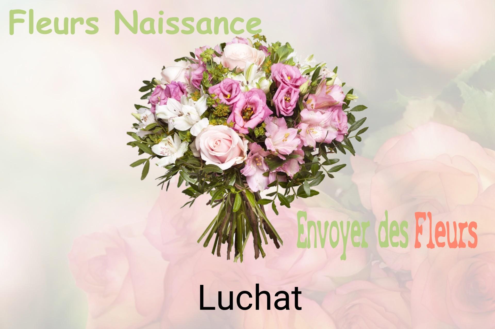 Bouquet de fleurs de naissance livré à Luchat