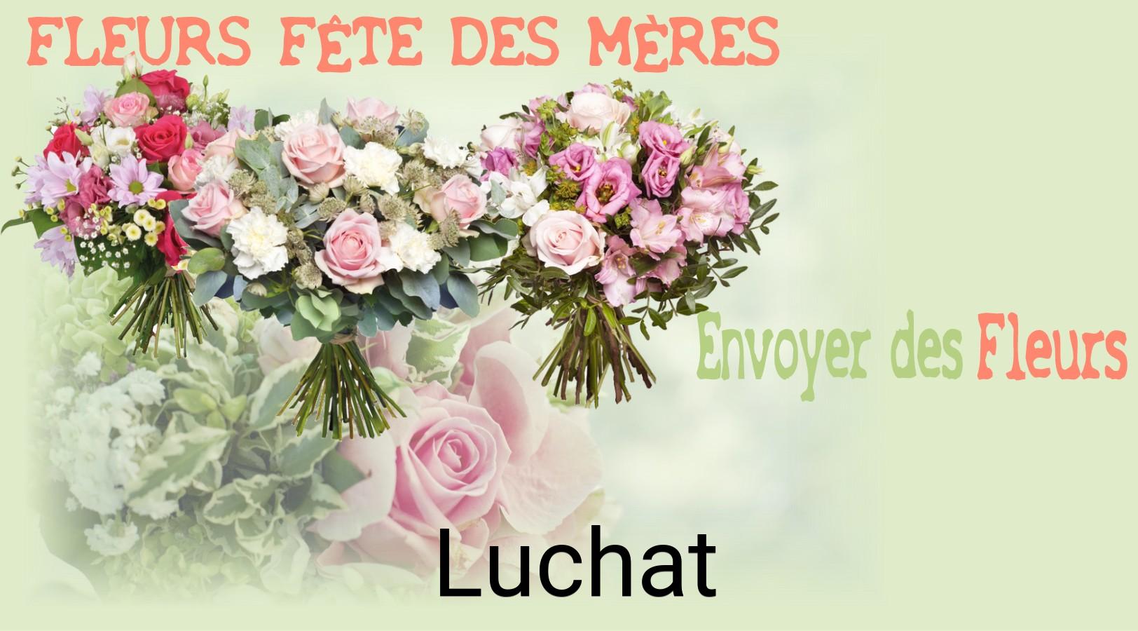 Bouquet de Fête des Mères livré à Luchat